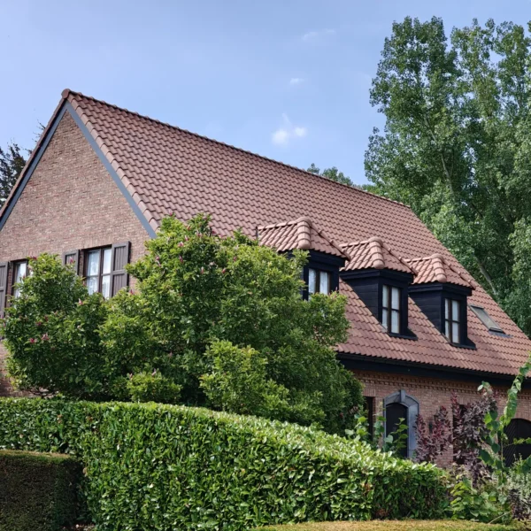 l 67826af758 | RVO Construct, Uw partner voor alle dakwerken