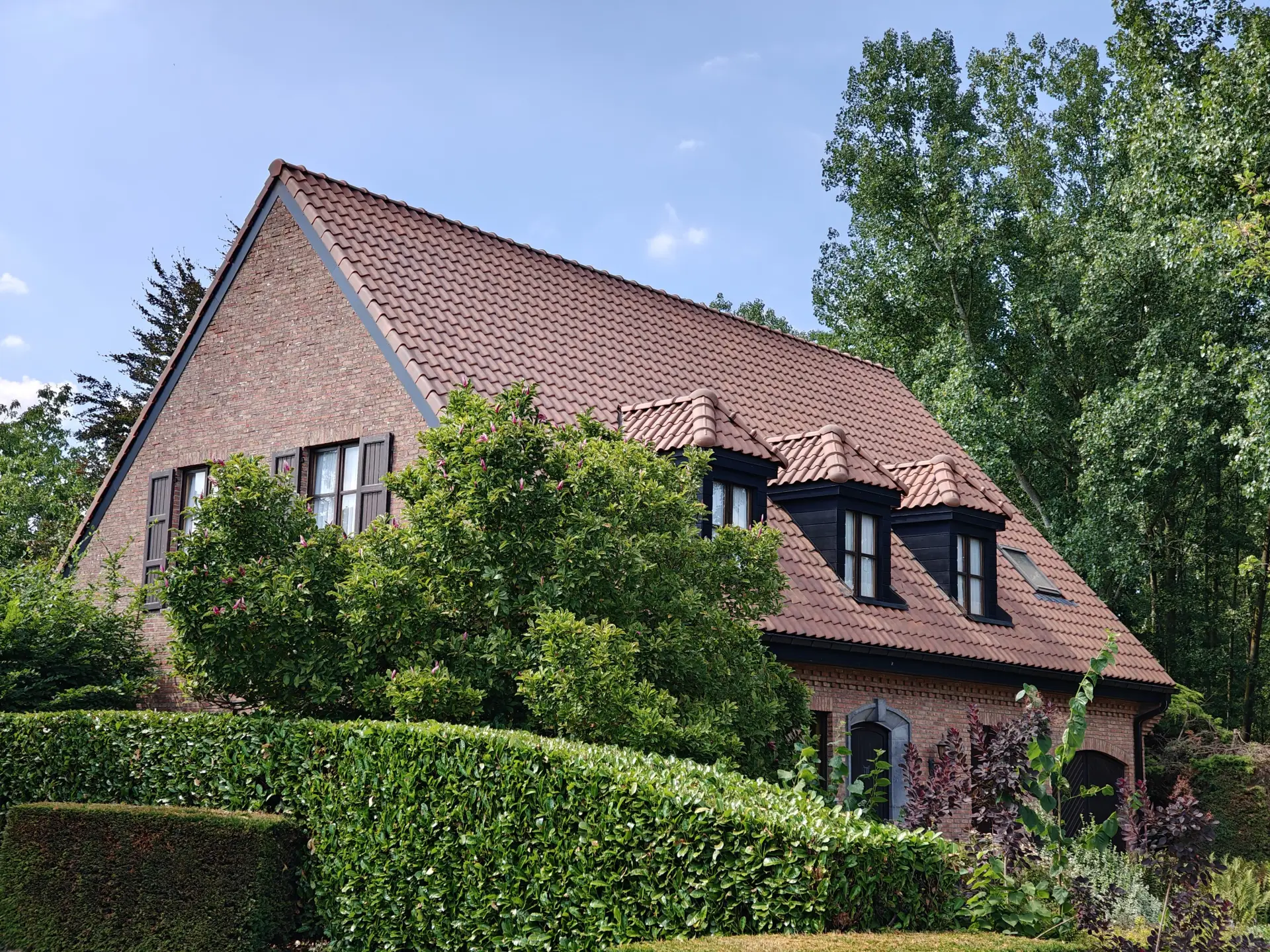 l 67826af758 | RVO Construct, Uw partner voor alle dakwerken